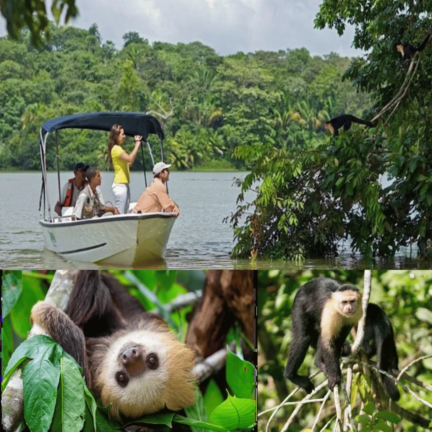 Isla de los Monos y Comarca Emberá — galería